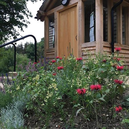 South Downs Eco Lodge & Camping East Meon 外观 照片