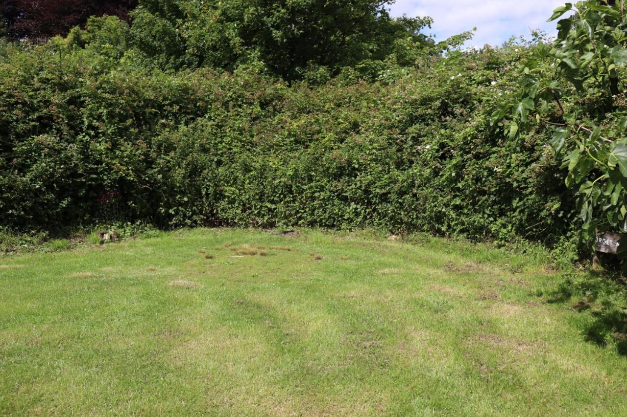 South Downs Eco Lodge & Camping East Meon 外观 照片