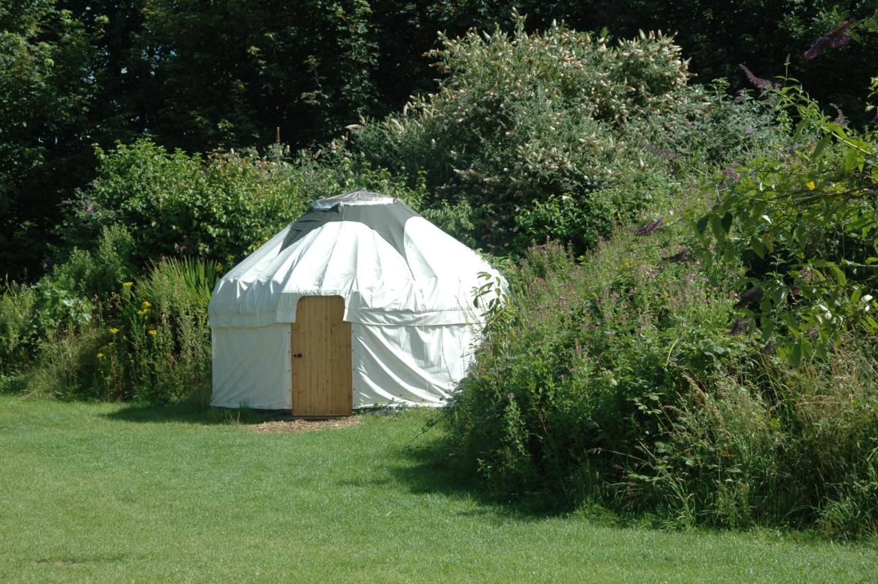 South Downs Eco Lodge & Camping East Meon 外观 照片