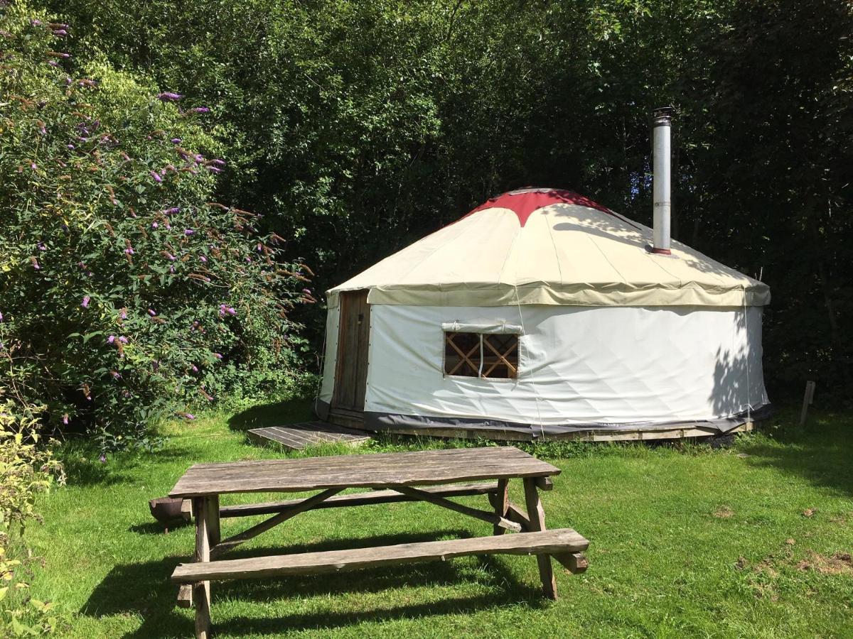 South Downs Eco Lodge & Camping East Meon 外观 照片