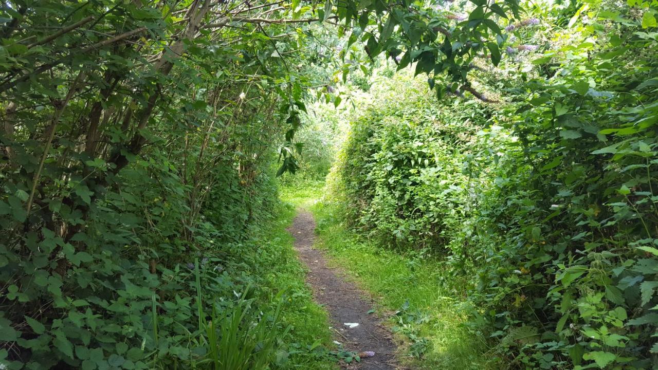 South Downs Eco Lodge & Camping East Meon 外观 照片