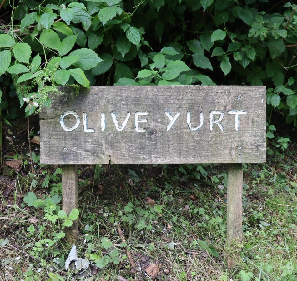 South Downs Eco Lodge & Camping East Meon 外观 照片