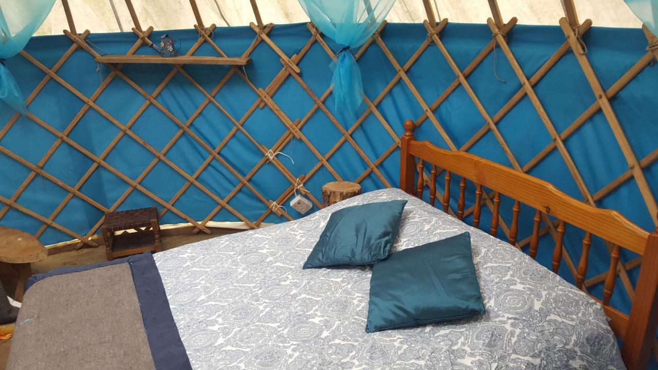 South Downs Eco Lodge & Camping East Meon 外观 照片