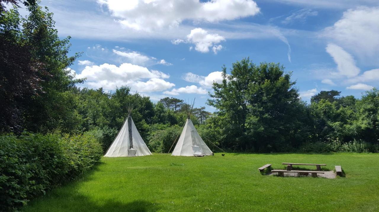 South Downs Eco Lodge & Camping East Meon 外观 照片