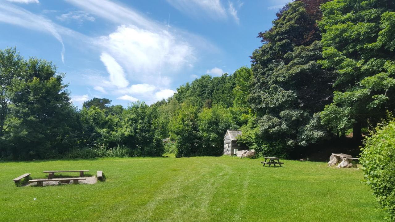 South Downs Eco Lodge & Camping East Meon 外观 照片