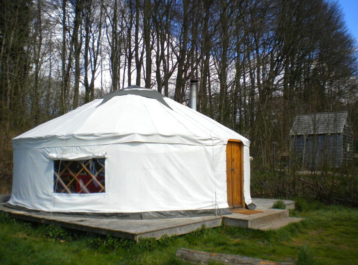 South Downs Eco Lodge & Camping East Meon 外观 照片