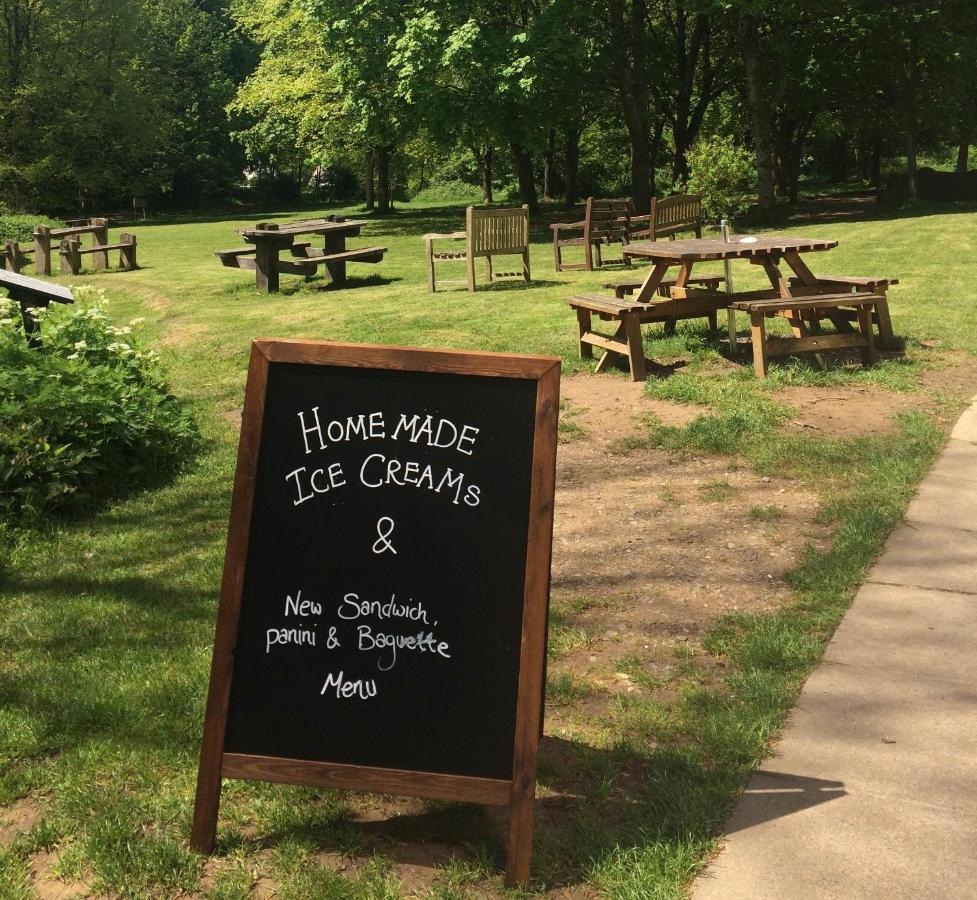 South Downs Eco Lodge & Camping East Meon 外观 照片
