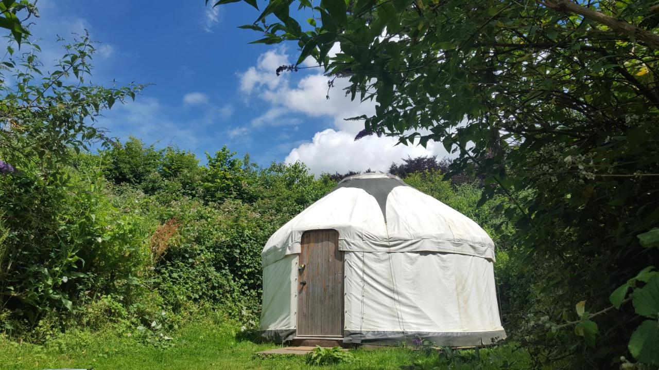 South Downs Eco Lodge & Camping East Meon 外观 照片