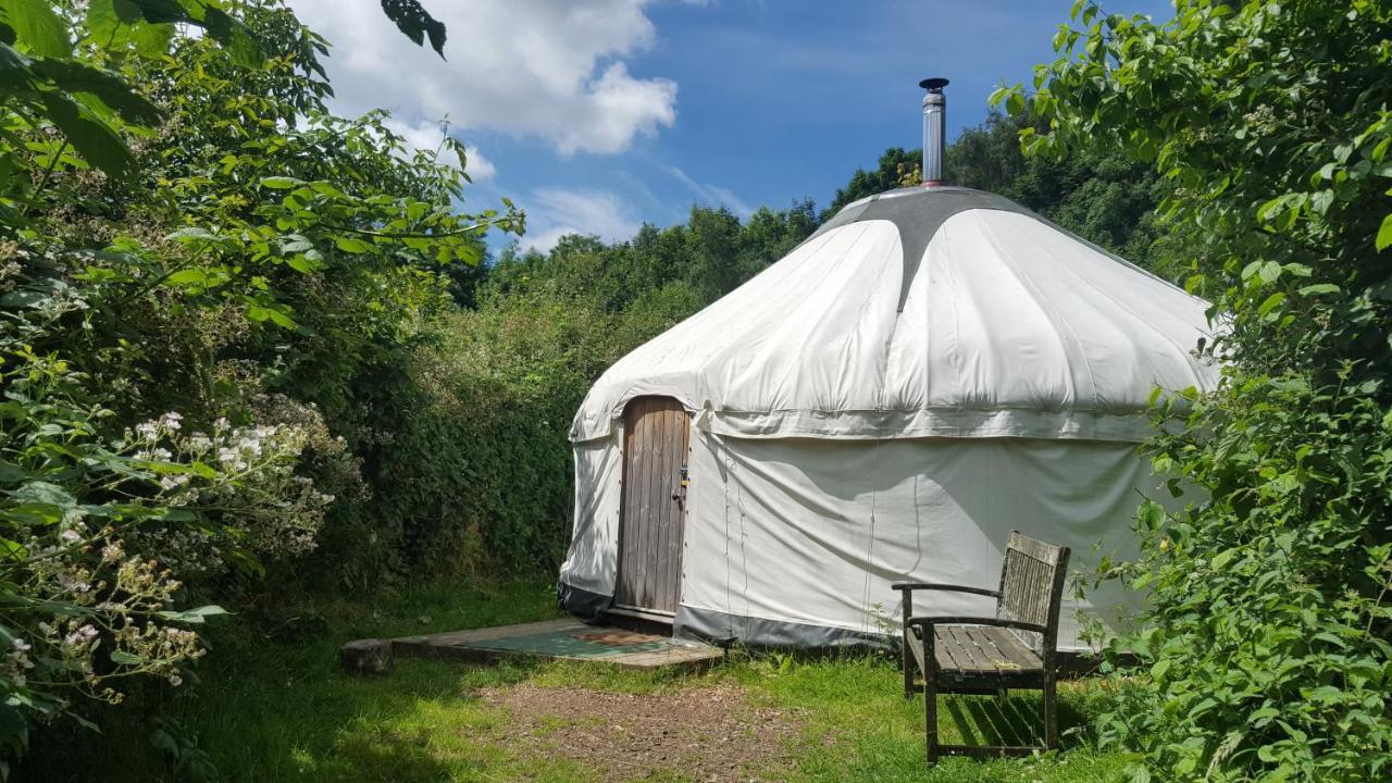 South Downs Eco Lodge & Camping East Meon 外观 照片