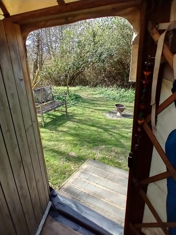 South Downs Eco Lodge & Camping East Meon 外观 照片