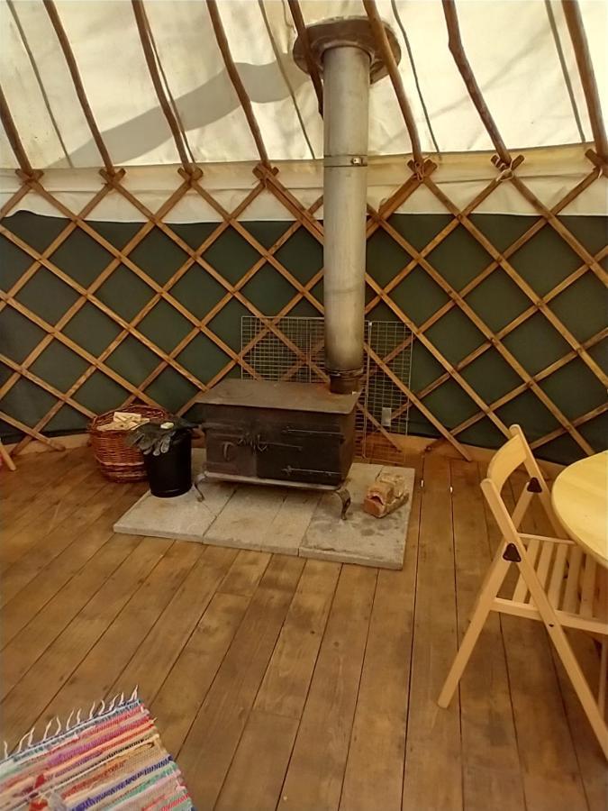 South Downs Eco Lodge & Camping East Meon 外观 照片