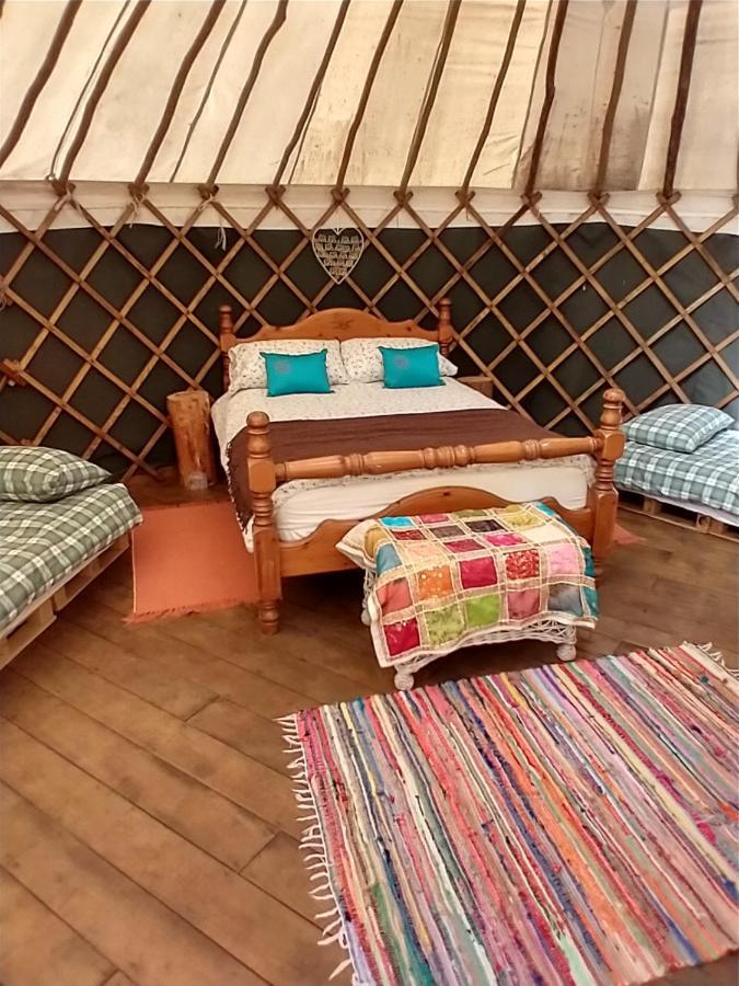 South Downs Eco Lodge & Camping East Meon 外观 照片