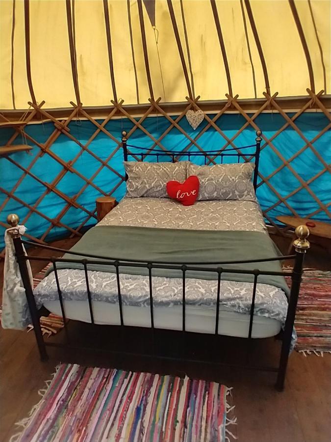 South Downs Eco Lodge & Camping East Meon 外观 照片